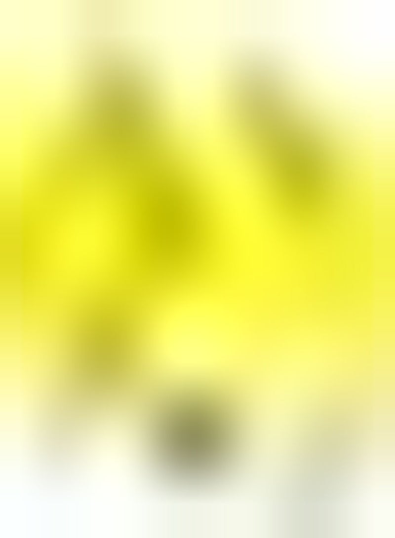 GGOOT 30pcs Yellow Watermelon Seeds Beautiful Color Fruit Can Make Children Like to Plant and Enjoy Create Unusual Gardening Scenery - Image 2