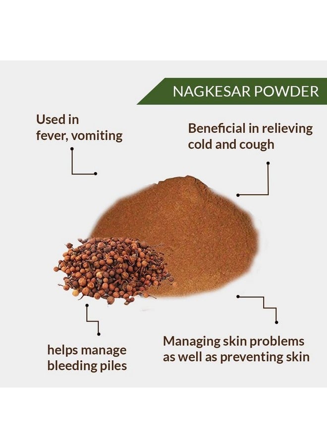Heilen Biopharm - Heilen Biopharm Nagkesar Powder For Food Nutrition - 100 g Pack of 1 - Image 1