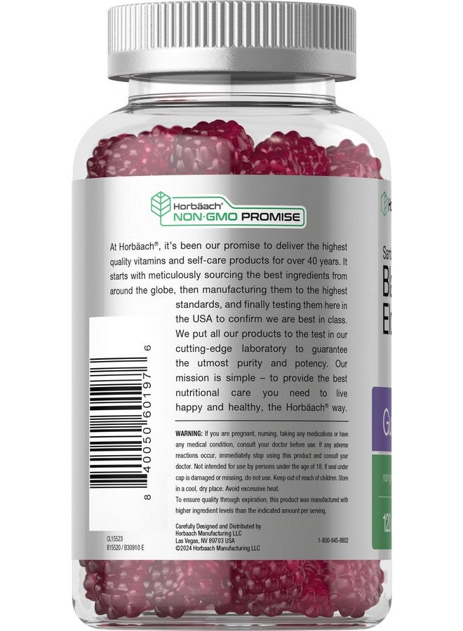 Horbäach Horbaach Black Elderberry Gummies | 120 Count | Sambucus Extract | with Zinc and Vitamin C | Berry Flavor | Vegan, Non-GMO, and Gluten Free Supplement for Adults - Image 3
