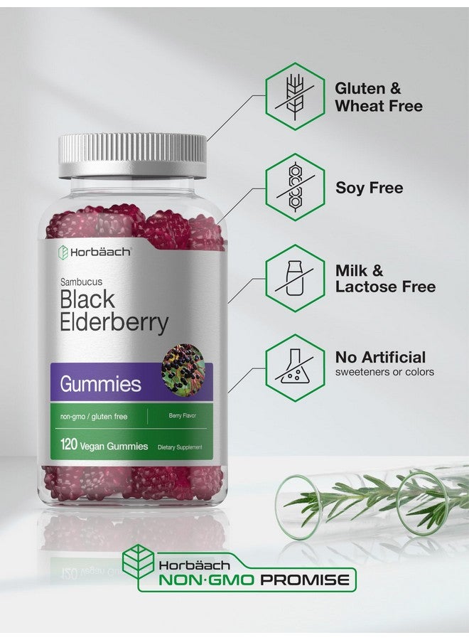 Horbäach Horbaach Black Elderberry Gummies | 120 Count | Sambucus Extract | with Zinc and Vitamin C | Berry Flavor | Vegan, Non-GMO, and Gluten Free Supplement for Adults - Image 5