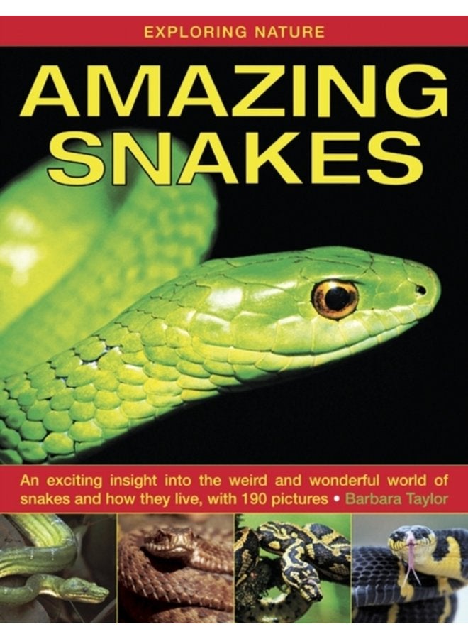 Exploring Nature Amazing Snakes an Exciting Insight into the Weird and Wonderful World of Snakes and How They Live with 190 Pictures - Hardback