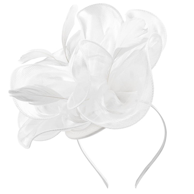DRESHOW Fascinators Hat Tea Party Headwear Ribbons Feathers on a Headband and a Clip for Women - Image 1
