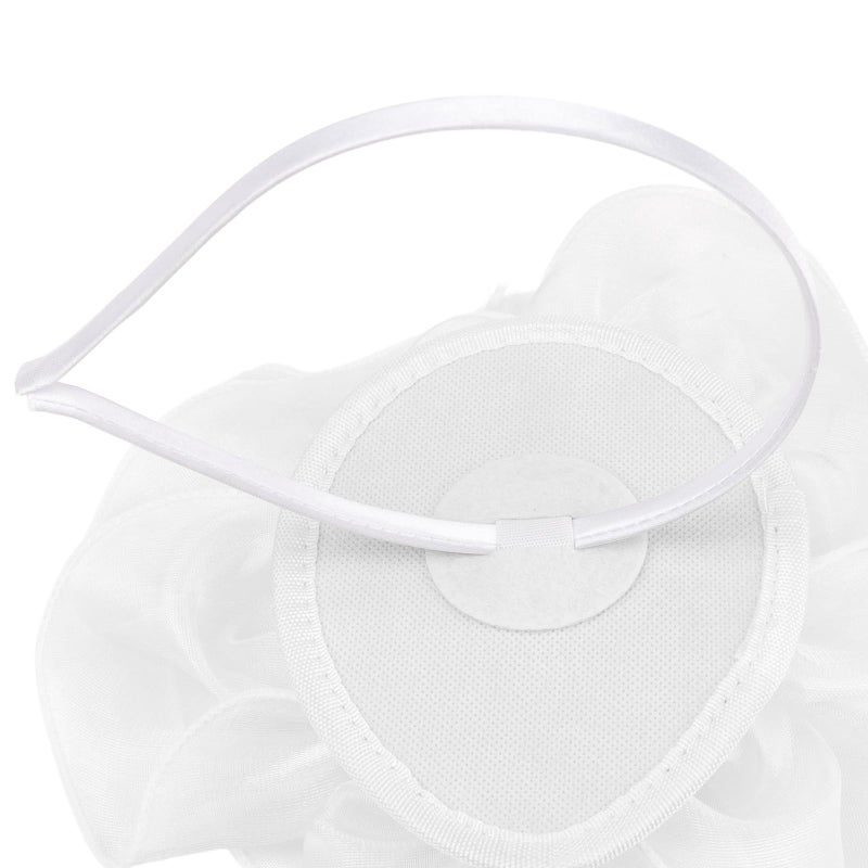 DRESHOW Fascinators Hat Tea Party Headwear Ribbons Feathers on a Headband and a Clip for Women - Image 3