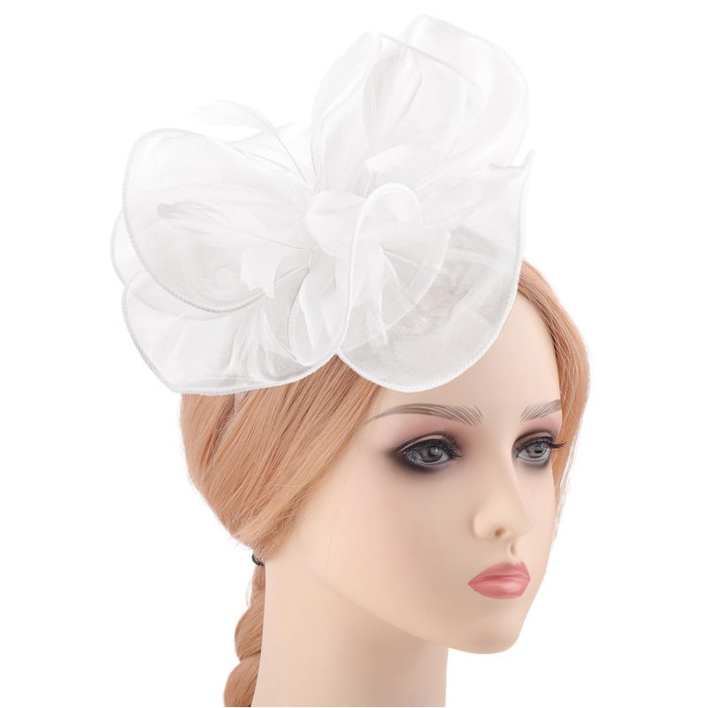 DRESHOW Fascinators Hat Tea Party Headwear Ribbons Feathers on a Headband and a Clip for Women - Image 2