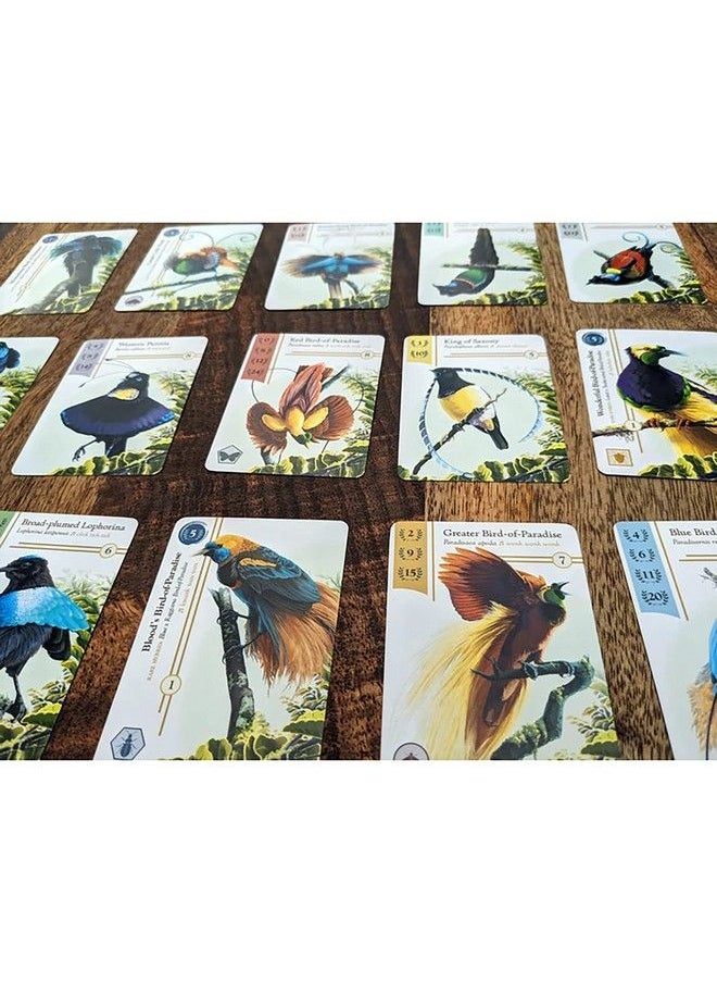 Birdwatcher Board Game - pzsku/ZE6A73A0840BE382C6305Z/45/_/1692170827/5dfe9f27-2d57-423b-9a2f-f0056785b5a3