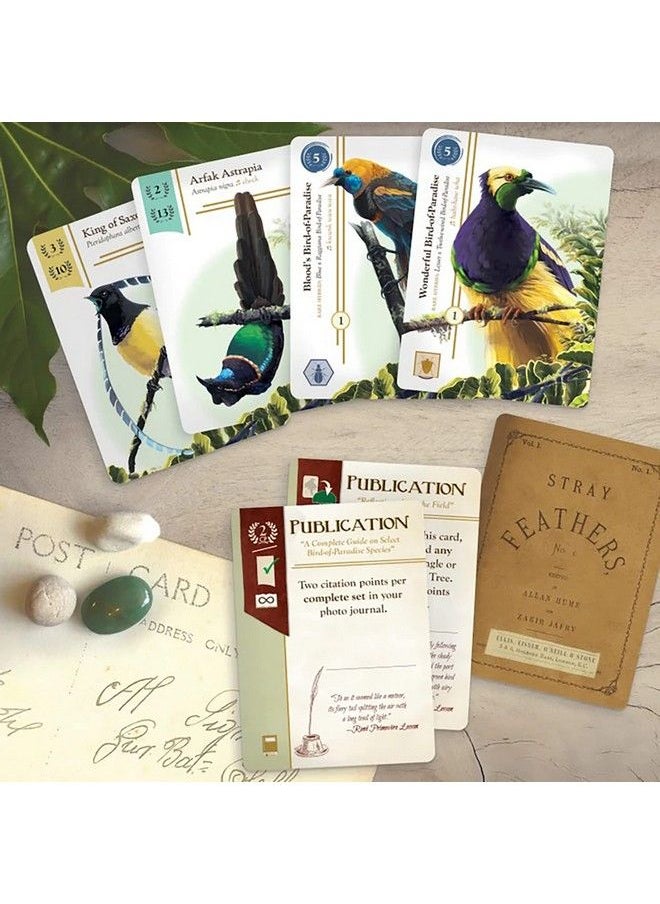 Birdwatcher Board Game - pzsku/ZE6A73A0840BE382C6305Z/45/_/1692170830/b84127b1-4b38-47da-becc-380115750d52