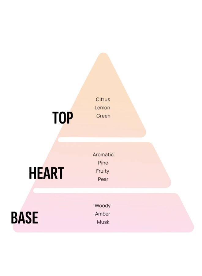 Areon Car Air Freshener XPERIENCE Black crystal - Image 2