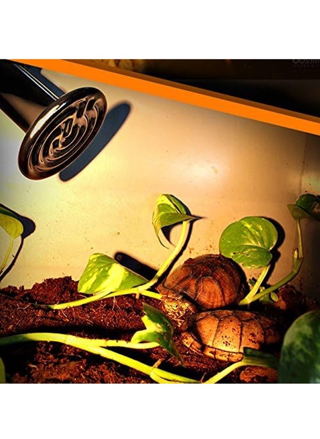 EHOME Ceramic Heat Emitter, Reptile Heat Lamp, No Light Emitted Bulb, Heat Bulb for Reptile Amphibian 75W  - Image 3