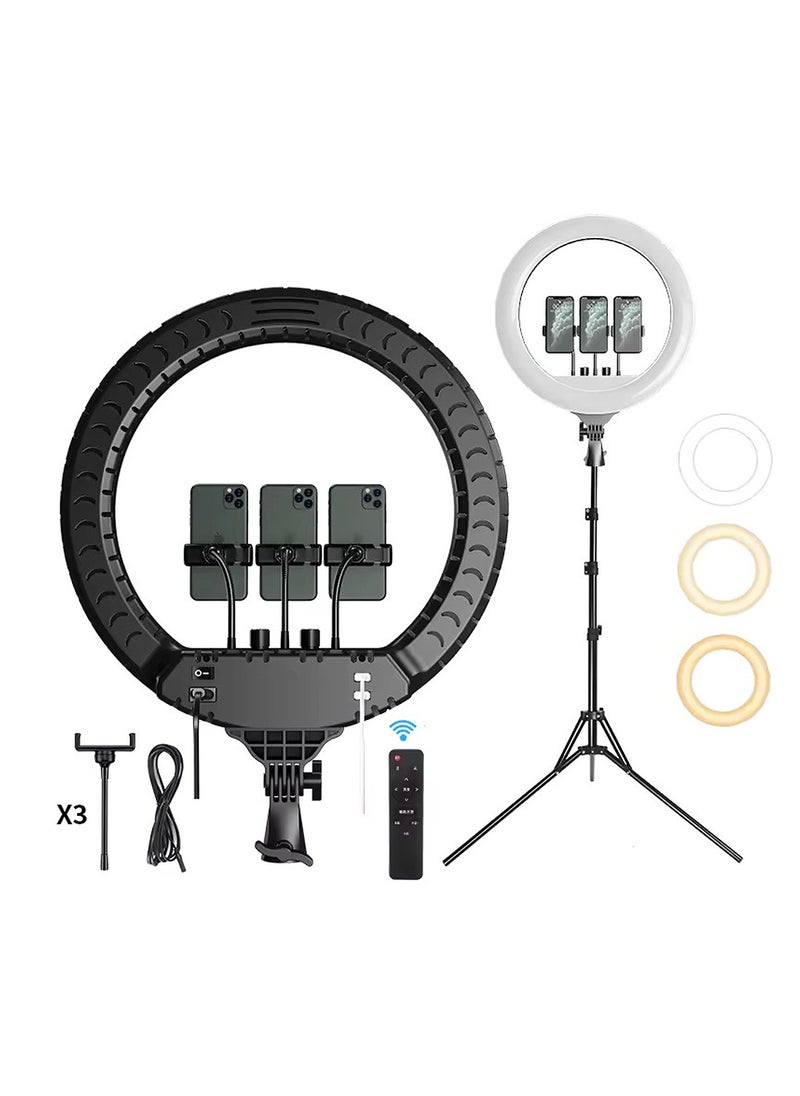 Generic Selfie Ring light 14 inch with Tripod Stand And Photographic Lamp with 3 Mobile Holder  - Image 1
