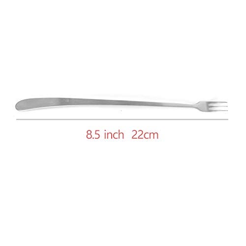 JSEVEN [JSeven] Long Handle Forks, Stainless Steel Dessert Forks, Fruits, Pickles Forks, Fancy Table Forks (12 Pcs) - Image 2