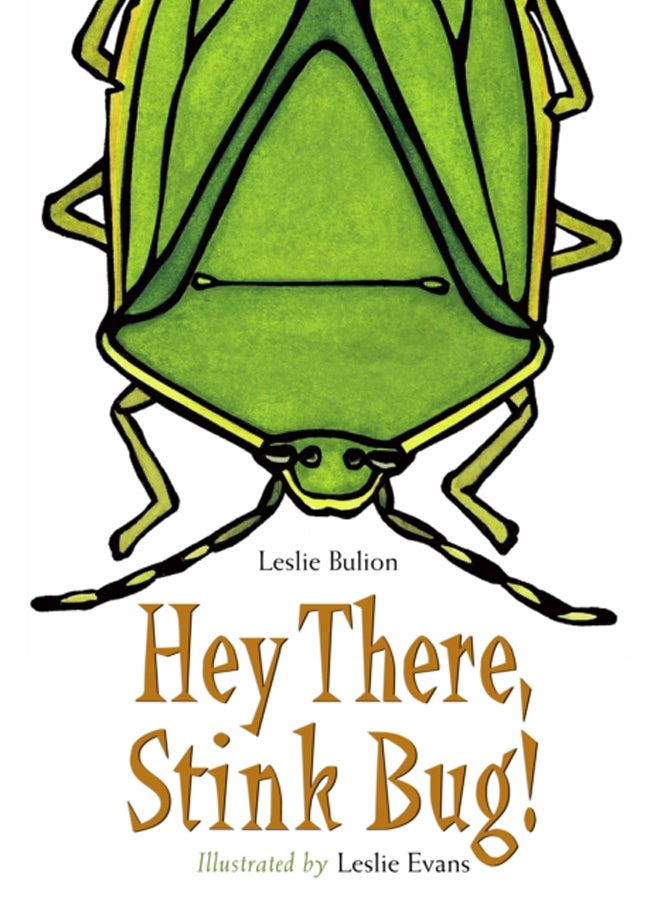 Hey There, Stink Bug! 