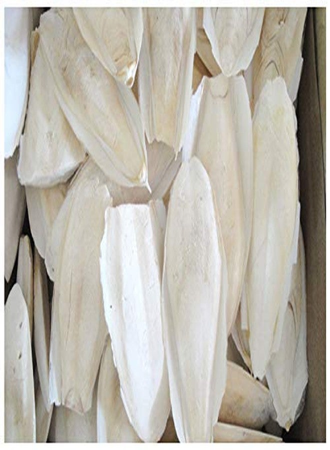 Parrots Wizard Cuttle Bone for Birds Calcium 400 Grams - Image 2