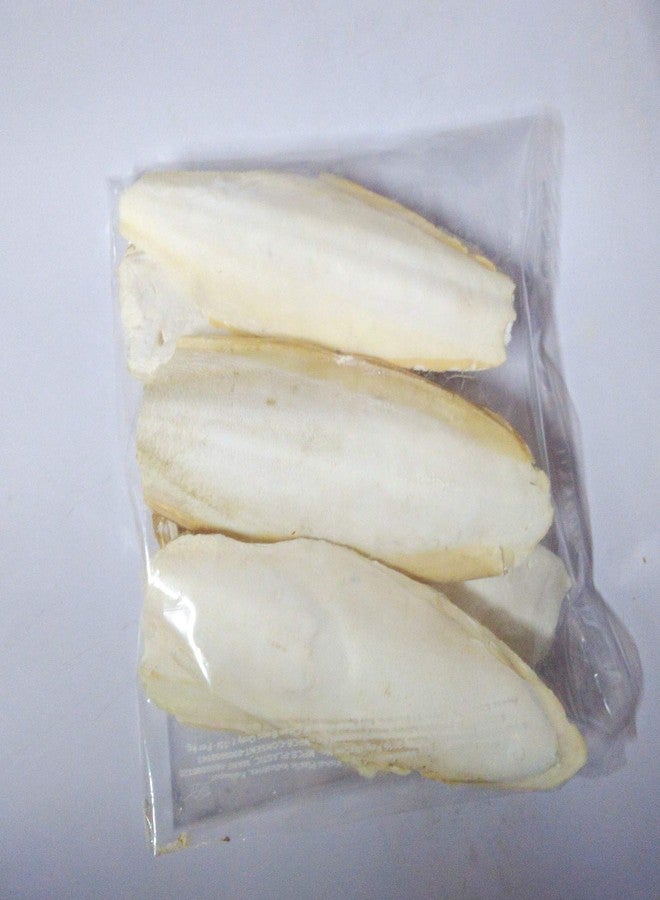 Parrots Wizard Cuttle Bone for Birds Calcium 400 Grams - Image 3