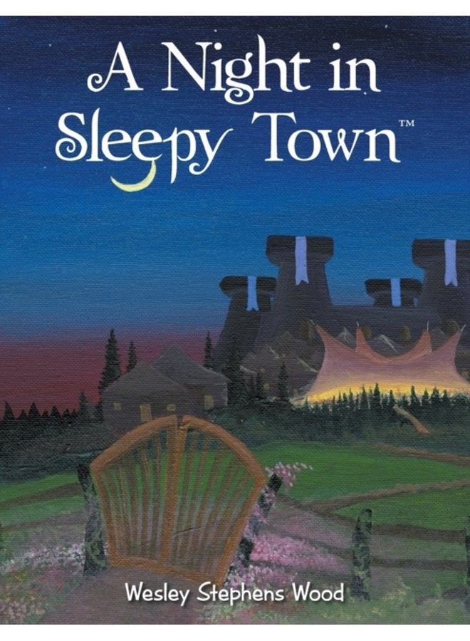 A Night in Sleepy Town - Paperback