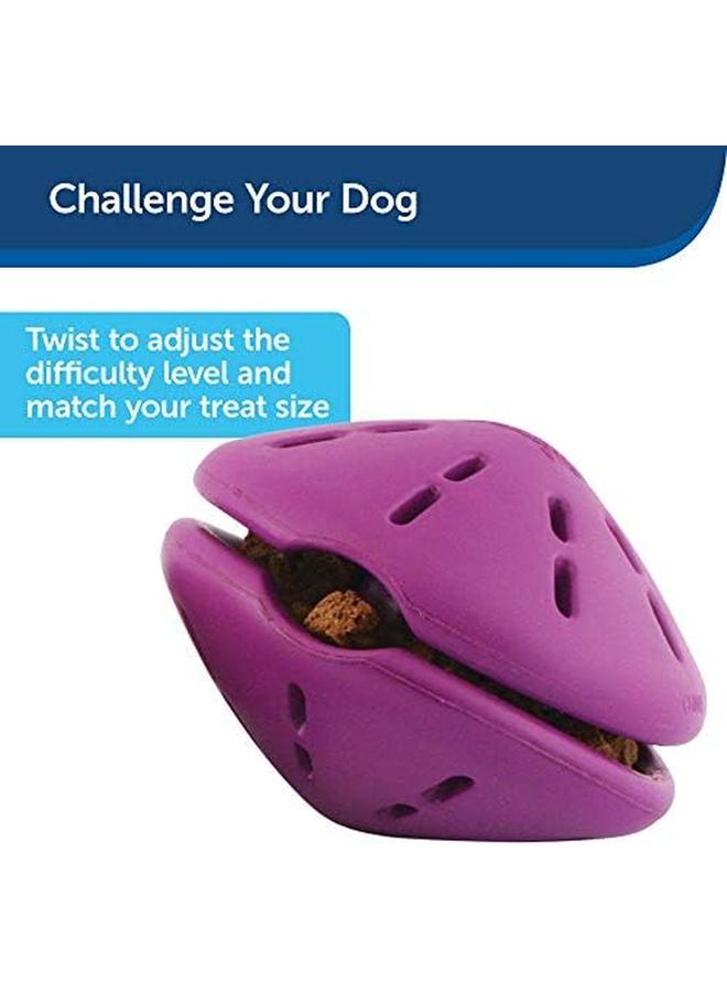 بيت سيف لعبة توزيع الحلوى للكلاب من Busy Buddy Twist 'N Treat، صغيرة جدًا، صغيرة، متوسطة، كبيرة - Image 3