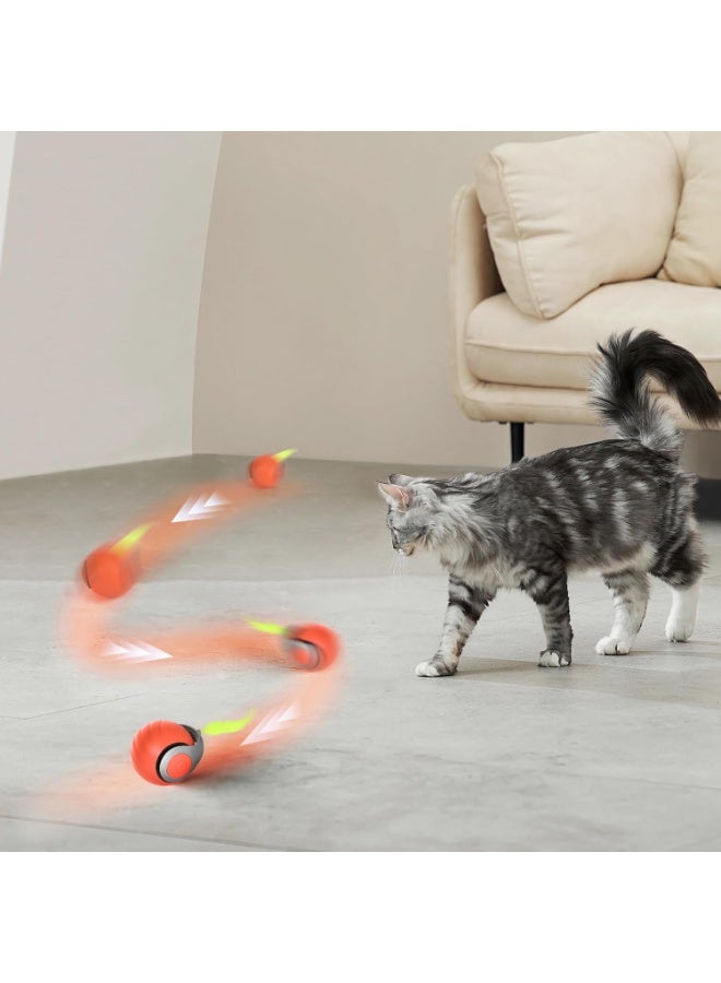 🎾 Speedy Tail Interactive Cat Toy – Auto-Rolling Adjustable Smart Ball for Indoor Cats - Image 5