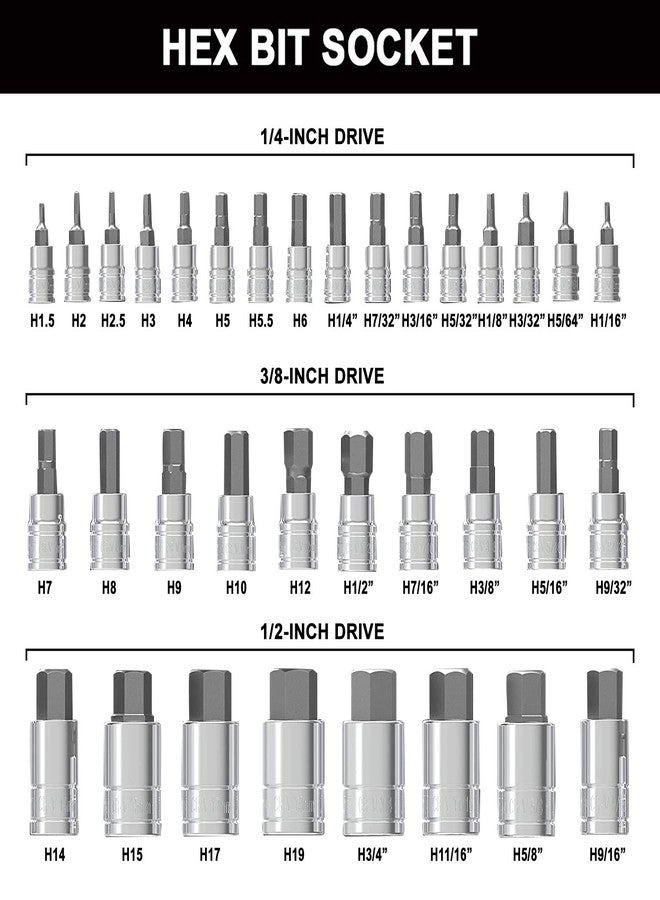 NORTOOLS Master Hex Bit Socket Set S2 Steel Allen Sockets Bit SAE and Metric Torx Bit CRV Socket Tool Allen Wrench Bit Kit 1/2" 3/8" 1/4" Drive Automotive Bike Motorcycle and ATV 34 Pieces - Image 4