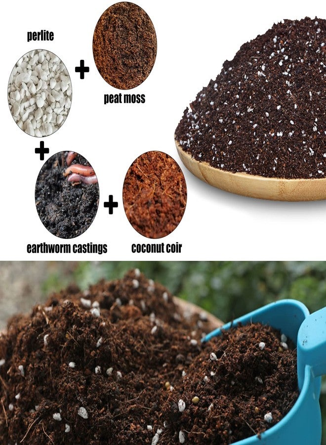 Doter Indoor Herb Planters Planting Soil Mixture (1qt) - Image 2