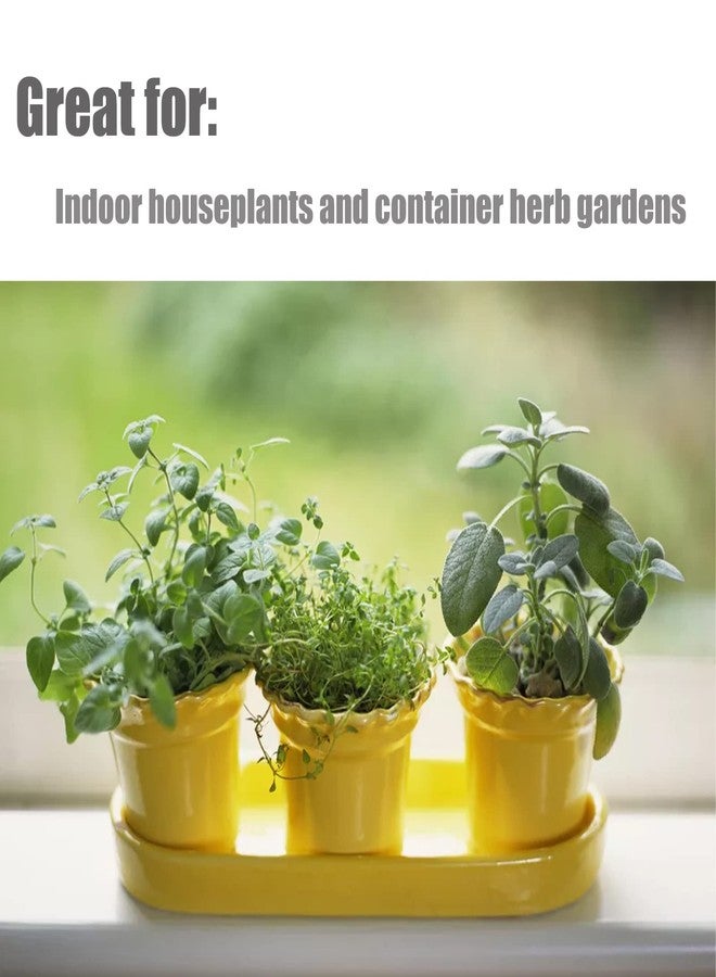 Doter Indoor Herb Planters Planting Soil Mixture (1qt) - Image 4