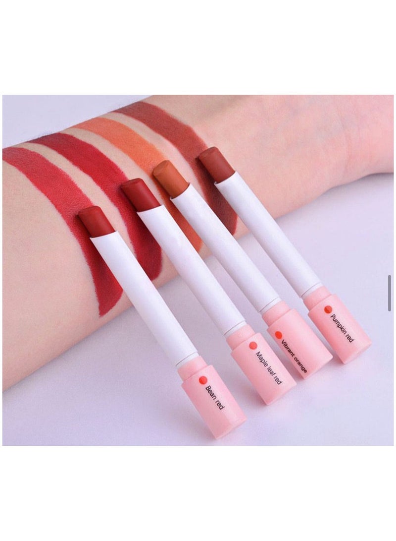 Long lasting lipstick set of 4  multicolored pieces