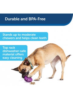 PetSafe Busy Buddy Twist 'n Treat Dispensing Dog Toy - Medium,Purple,Large Breeds