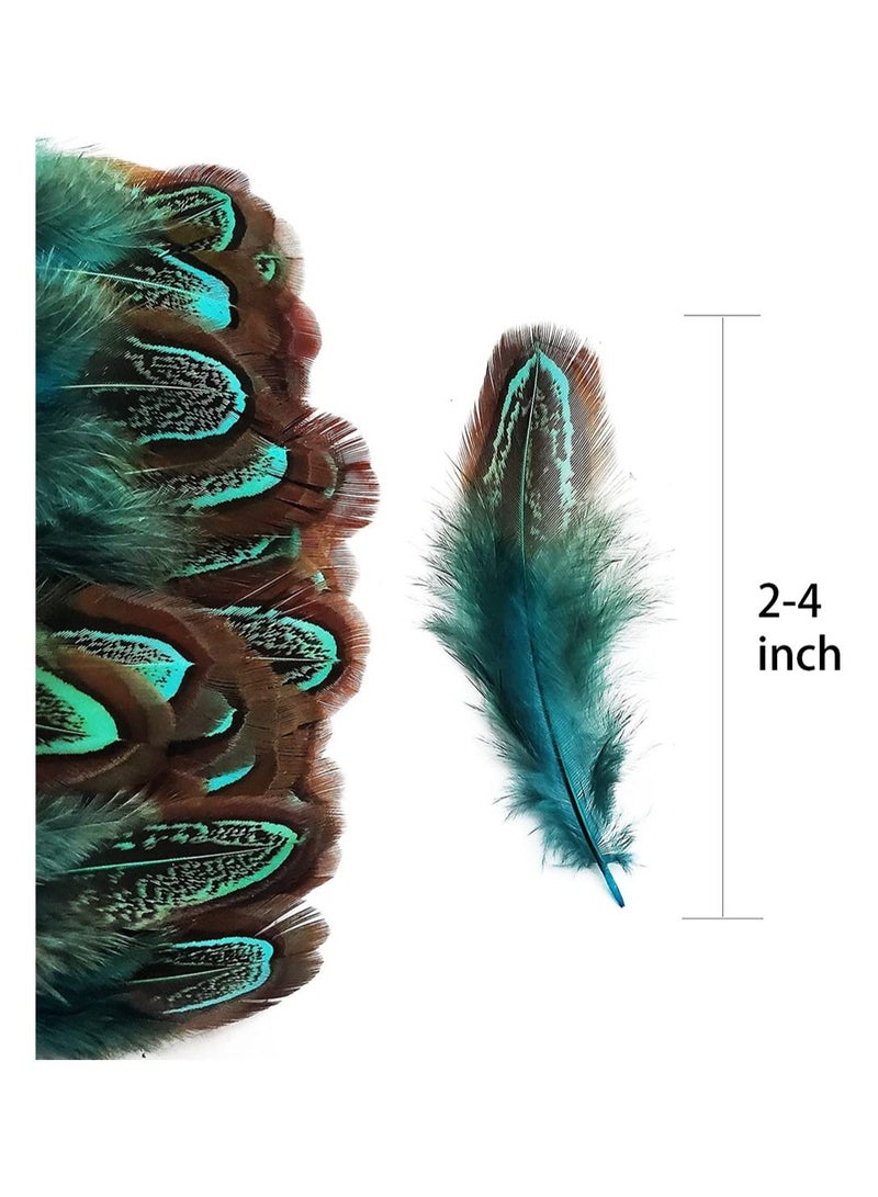 واي آند دي 100 pcs Natural Pheasant Plumage Feathers 2-4 Inches - Image 4