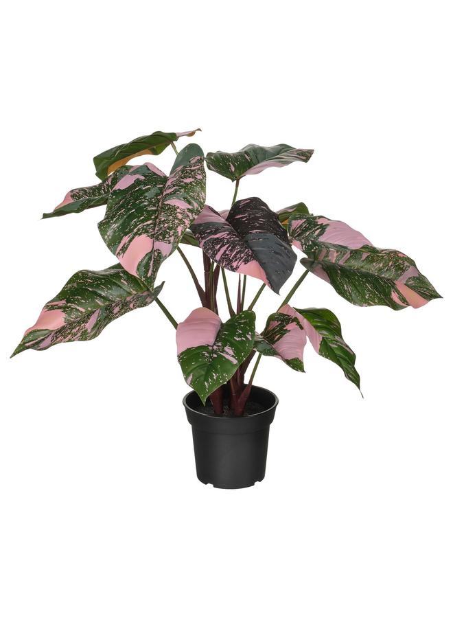 Zaboon Artificial Potted Plant, In/Outdoor Philodendron/Green/Pink, 15 Cm - Image 1