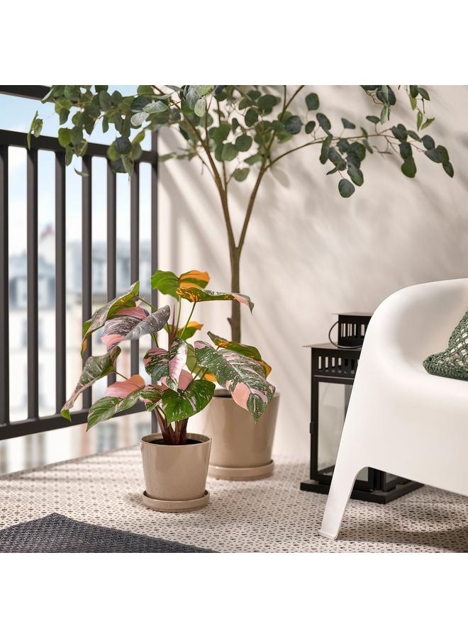 Zaboon Artificial Potted Plant, In/Outdoor Philodendron/Green/Pink, 15 Cm - Image 3