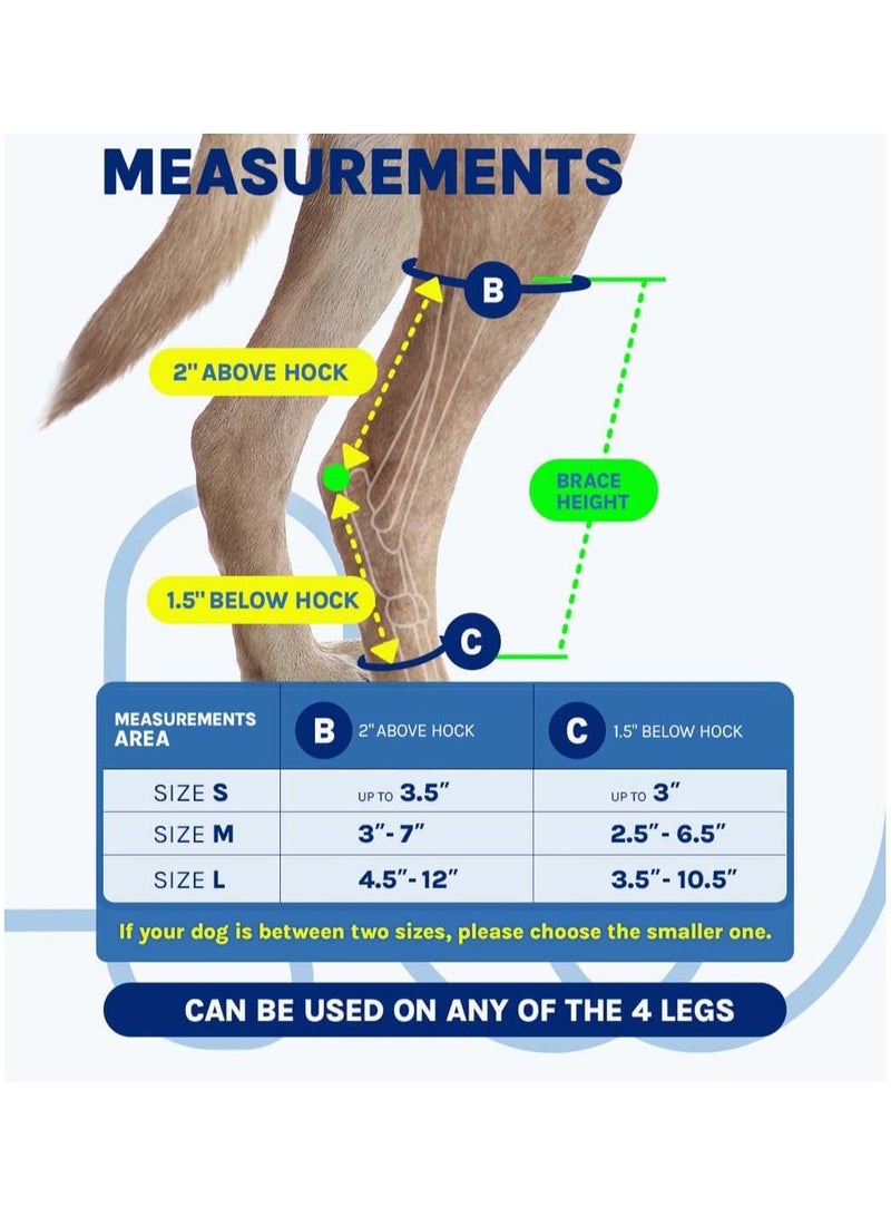 سيوسي زوج واحد من دعامة الساق الأمامية للكلاب من أجل العرقوب الخلفي والكاحل والساق الخلفية وضغط مفصل الساق من أجل تمزق الرباط الصليبي الأمامي والحماية من الإصابات والالتواء والعناية بالجروح وفقدان الثبات، م - Image 4