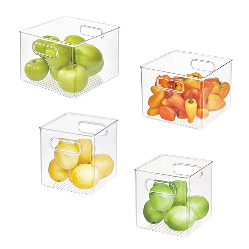 InterDesign iDesign Fridge Bin with Handles 2 Small and 2 Medium Bins 4 Pack Clear Made in USA