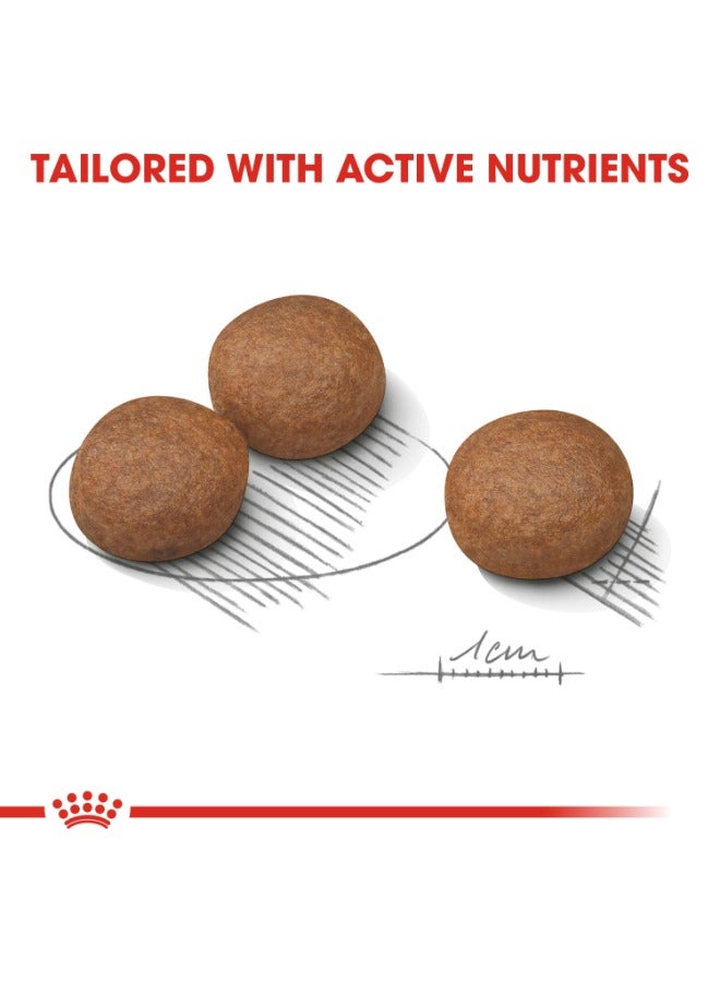 رويال كانين تغذية العناية بالكلاب العناية الهضمية المتوسطة 12 كجم - Image 2