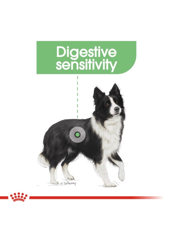 رويال كانين تغذية العناية بالكلاب العناية الهضمية المتوسطة 12 كجم - Image 3