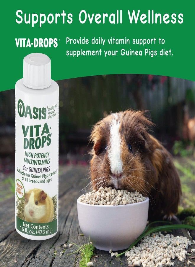 OASIS #80069 Guinea Pig Vita-Drop Vitamins, 16-Ounce liquid multivitamin with Vitamin C - Image 2