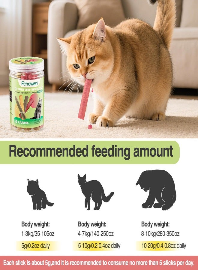 Fchowwn 4 Flavors/110g Freeze-Dried Cat Treats,Chew Sticks for Cats and Dogs,Cats Dental Healthy and Hairball Control,Digestive Health Support,(Beef,Cat Grass Salmon,Chicken Pumpkin,Chicken Dragon Fruit) - Image 3