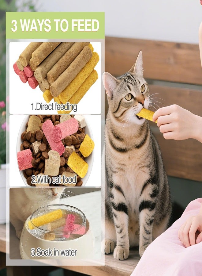 Fchowwn 4 Flavors/110g Freeze-Dried Cat Treats,Chew Sticks for Cats and Dogs,Cats Dental Healthy and Hairball Control,Digestive Health Support,(Beef,Cat Grass Salmon,Chicken Pumpkin,Chicken Dragon Fruit) - Image 5