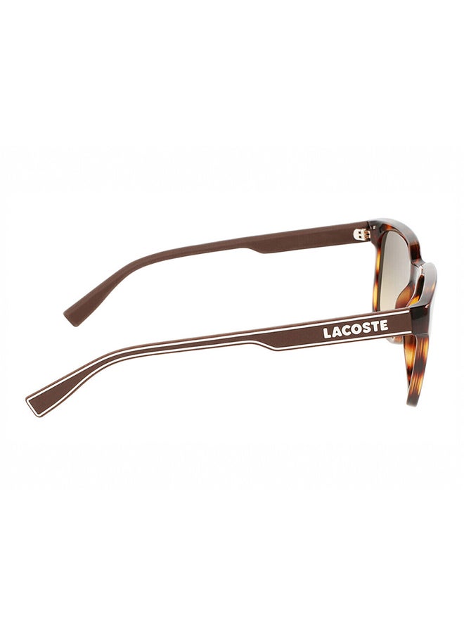 LACOSTE نظارة شمسية مربعة للنساء مع حماية من الأشعة فوق البنفسجية - L966S_5020 230 - مقاس العدسة: 50 مم  - Image 3