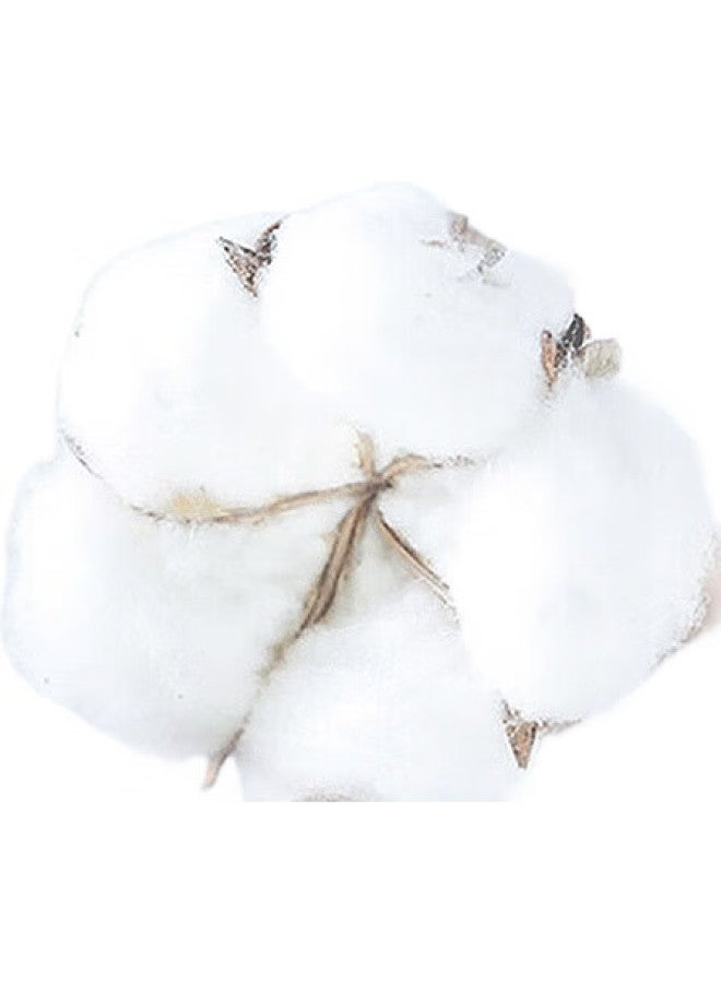 Pull Back Warrior Short-Sleeve T-Shirt For Men, Pure Cotton Round Neck, Summer Undershirt, Printed Breathable Casual Versatile Top, Men'S Clothing - Image 2