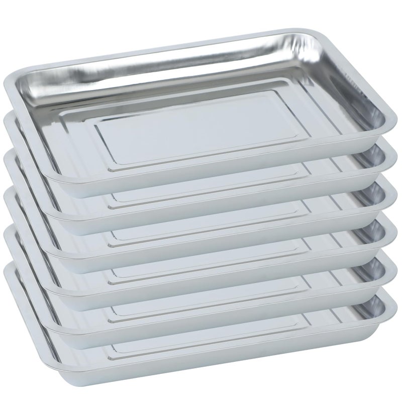 WBCBEC Plant Germination Trays, Stainless Steel Plant Trays Stainless Metal Trays Stainless Steel Seed Starter Carry Trays Nursery Seedling Pots Water Collection Transplantation (6PCS) - Image 1