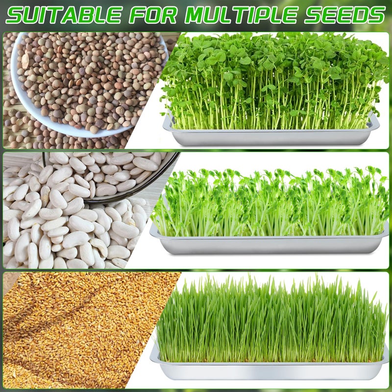 WBCBEC Plant Germination Trays, Stainless Steel Plant Trays Stainless Metal Trays Stainless Steel Seed Starter Carry Trays Nursery Seedling Pots Water Collection Transplantation (6PCS) - Image 5