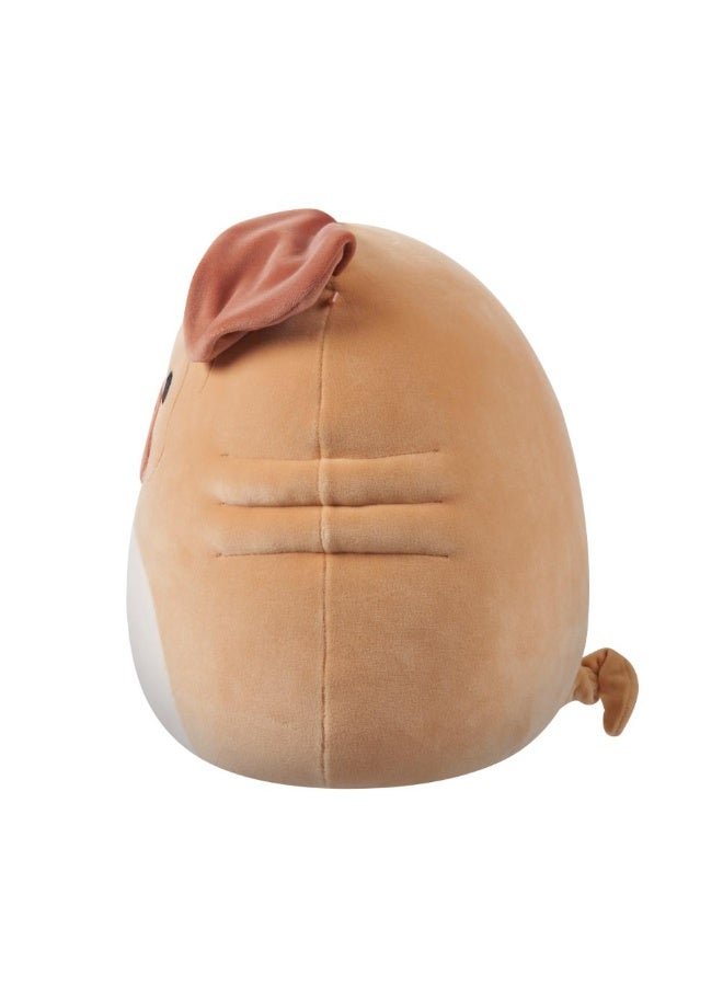 Squishmallows SQK - Medium Plush (12" Squishmallows) (Morton - Brown Shar Pei) - Image 3