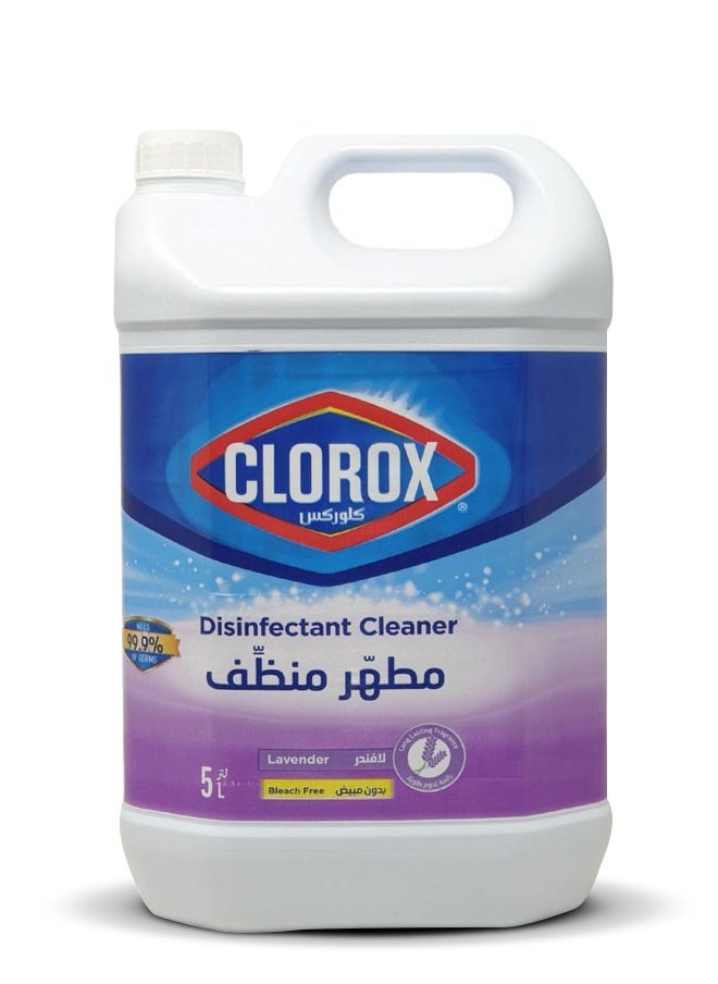 Disinfectant Lavender 5L - pzsku/ZE6BF9F21712854A60C6EZ/45/_/1728907756/33c8fb50-c4c8-441e-8553-0fd7d1f4454a