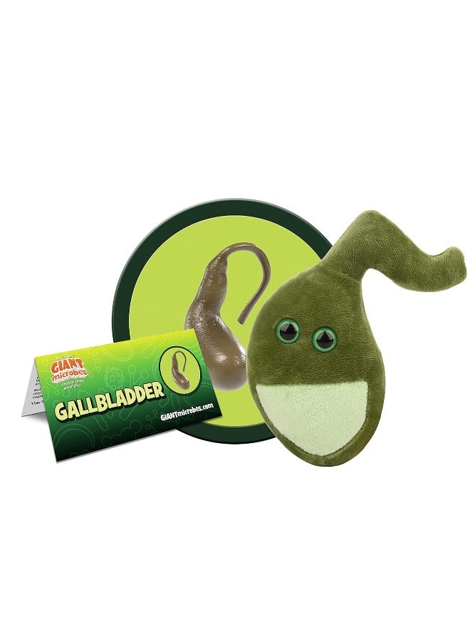 Giant Microbes - GIANTmicrobes Gallbladder Plush, Gallbladder Stuffed Animal, Gallbladder Surgery Gifts, Gallbladder Plush Toy, Gallbladder Removal Gift, Gastroenterology Gifts, Gastroenterologist Gifts, Get Well Gift - Image 1