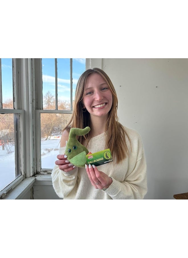 Giant Microbes - GIANTmicrobes Gallbladder Plush, Gallbladder Stuffed Animal, Gallbladder Surgery Gifts, Gallbladder Plush Toy, Gallbladder Removal Gift, Gastroenterology Gifts, Gastroenterologist Gifts, Get Well Gift - Image 1