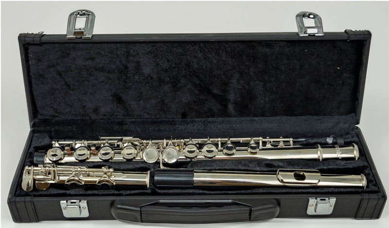 Hisonic Signature Series 2810N Closed 16-hole Flute with Case - Image 2