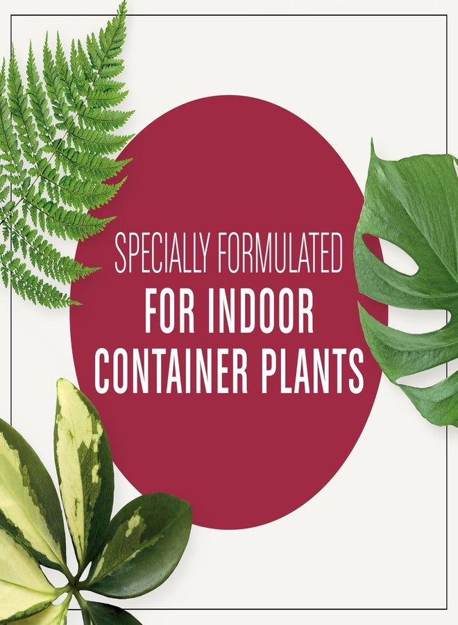 Miracle-Gro Houseplant Potting Mix: Fertilized, Perlite Soil for Indoor Gardening, Designed to Be Less Prone to Gnats, 4 qt. - Image 2