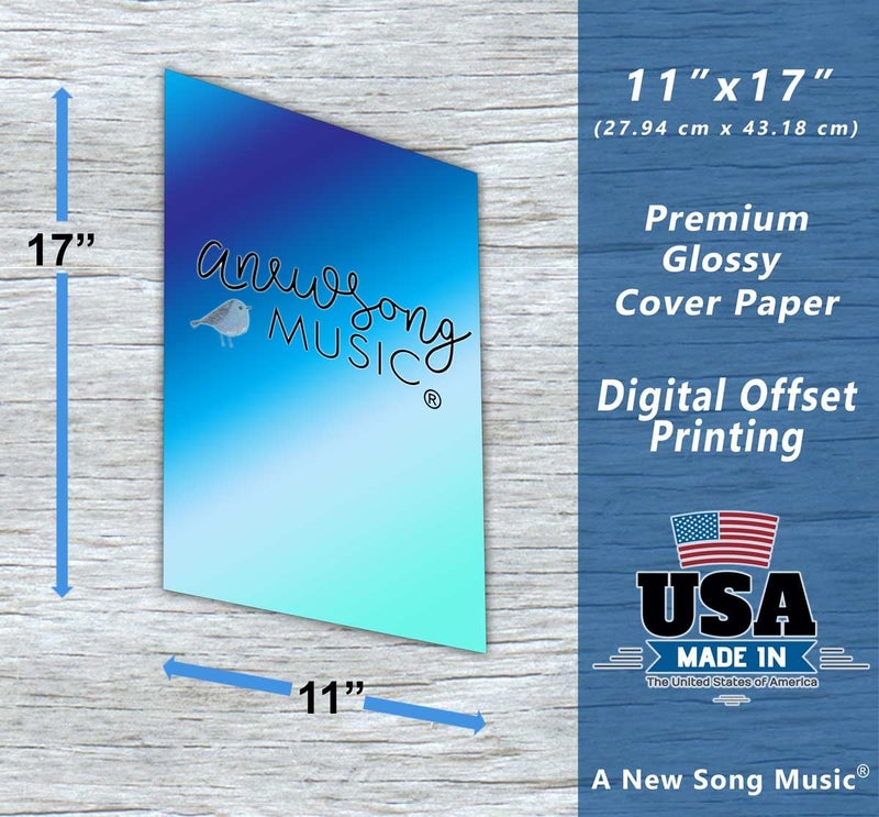 A New Song Music Banjo Poster - Chords Rolls Fretboard Notes - Open G Tuning 11x17 Easy Beginner Instructional Chart by A New Song Music - Image 2