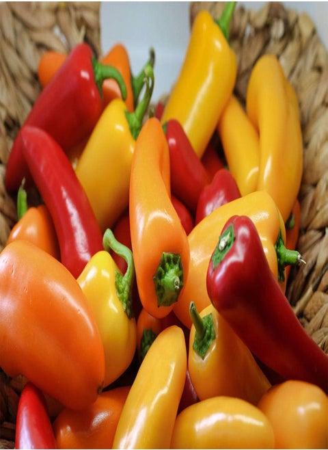 Lunch/Snack Box Mixed Mini Sweet Pepper (36) Fruit/Vegetable Seeds