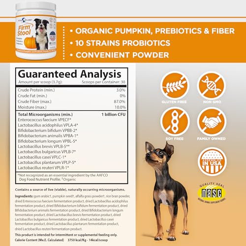 Vital Planet - Firm Stool – Dog Stool Hardener, Eliminates Diarrhea and Gas - Pumpkin, Probiotics and Prebiotics for Healthy Digestion, Fiber for Firmer Stools and Regularity - 111 Grams 30 Servings - Image 2