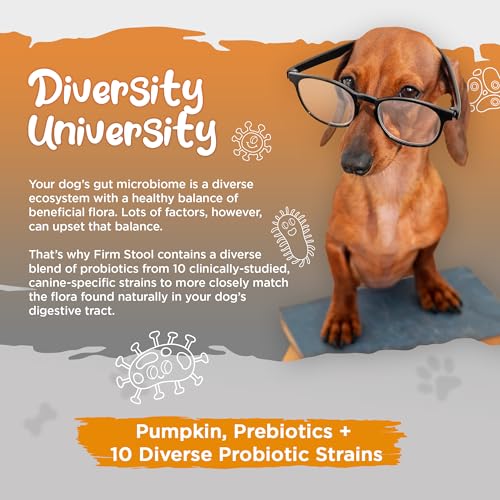 Vital Planet - Firm Stool – Dog Stool Hardener, Eliminates Diarrhea and Gas - Pumpkin, Probiotics and Prebiotics for Healthy Digestion, Fiber for Firmer Stools and Regularity - 111 Grams 30 Servings - Image 3