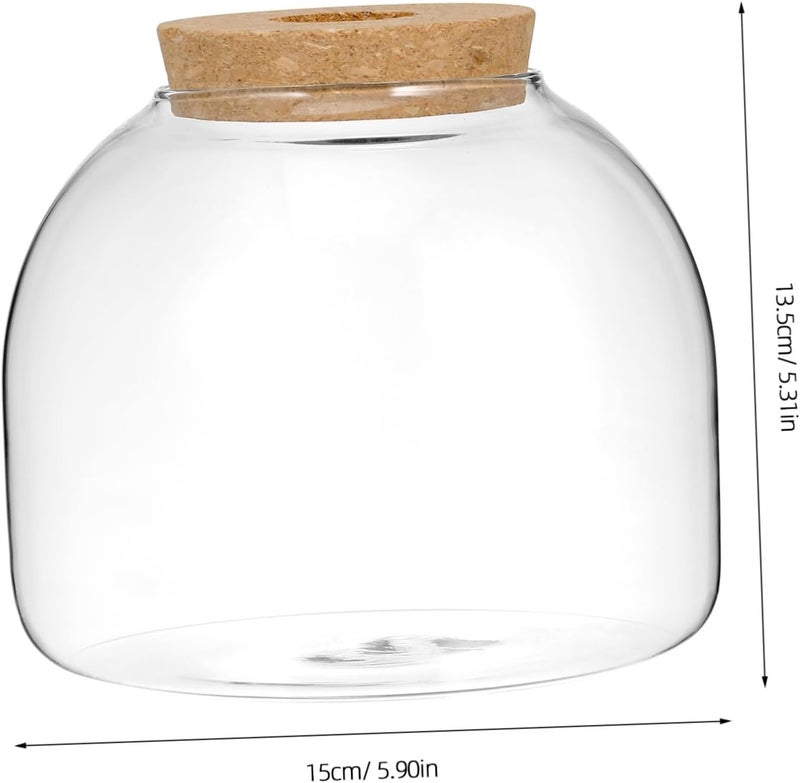 IMIKEYA Terrarium Plants Glass Jar Landscape Ecosystem with Hydroponic and Aquatic Decor - Image 3